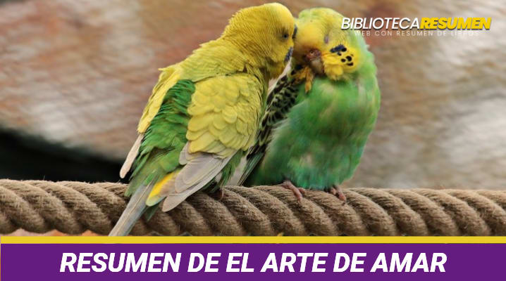 Resumen de El arte de amar
