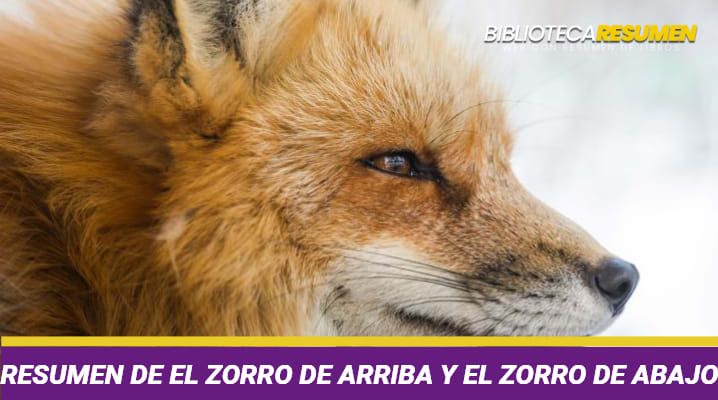 Resumen de El zorro de arriba y el zorro de abajo