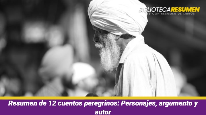 Resumen de 12 cuentos peregrinos