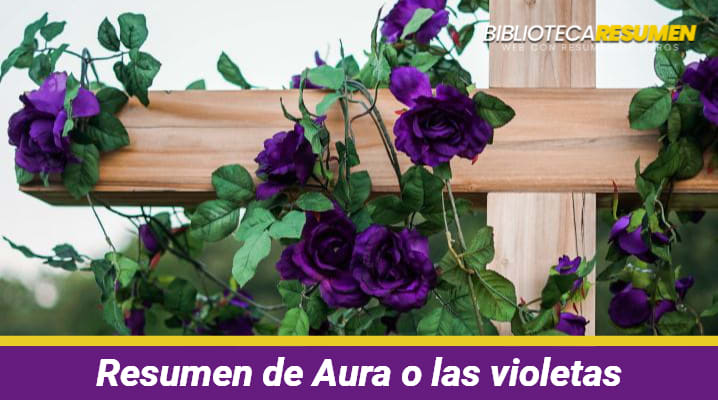 Resumen de Aura o las violetas