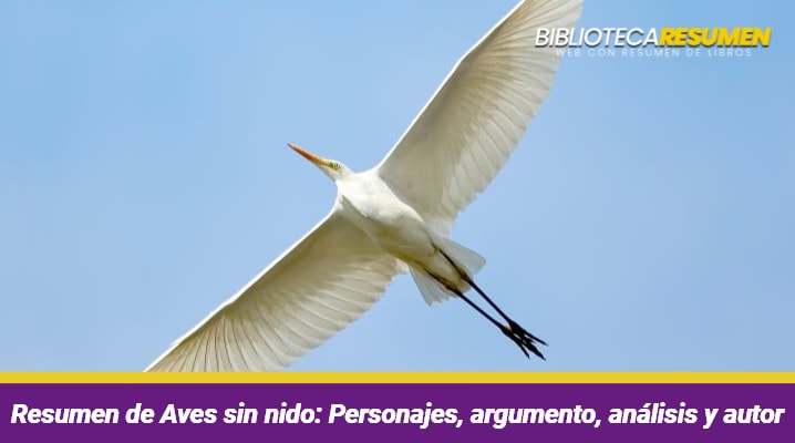 Resumen de Aves sin nido