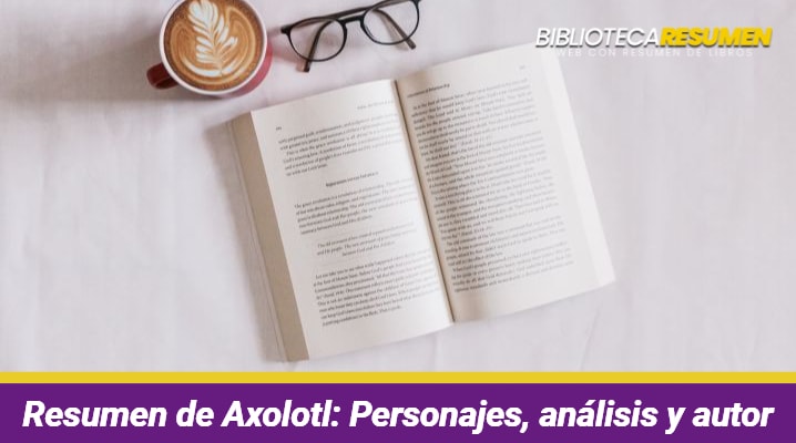 Resumen de Axolotl