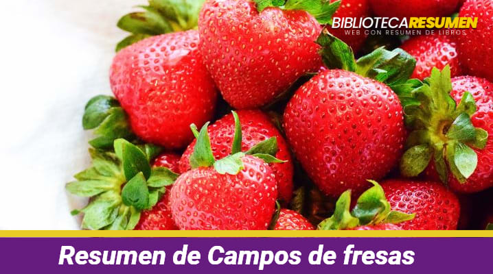 Resumen de Campos de fresas