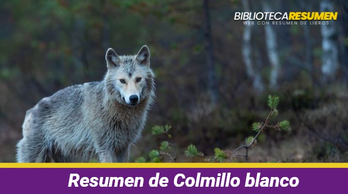 Resumen de Colmillo blanco