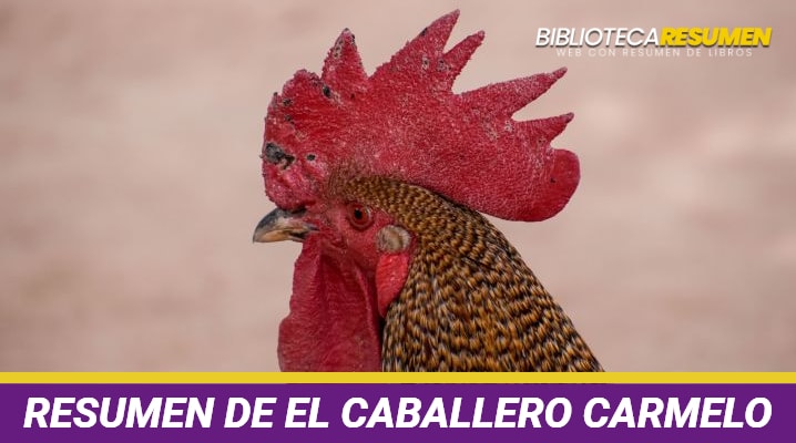 Resumen de El Caballero Carmelo