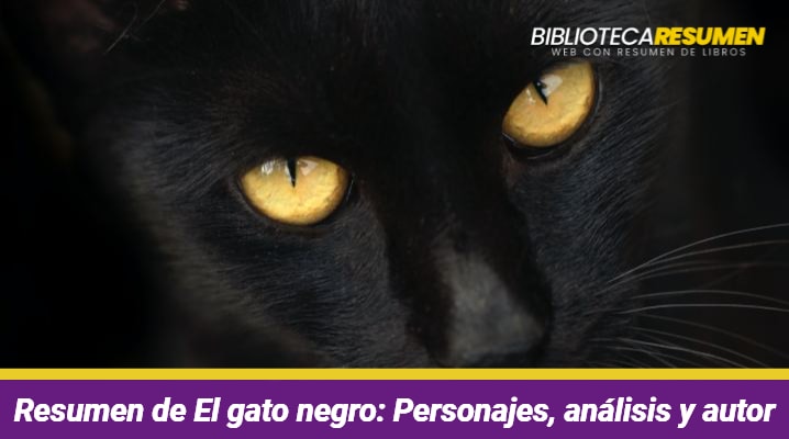 Resumen de El gato negro