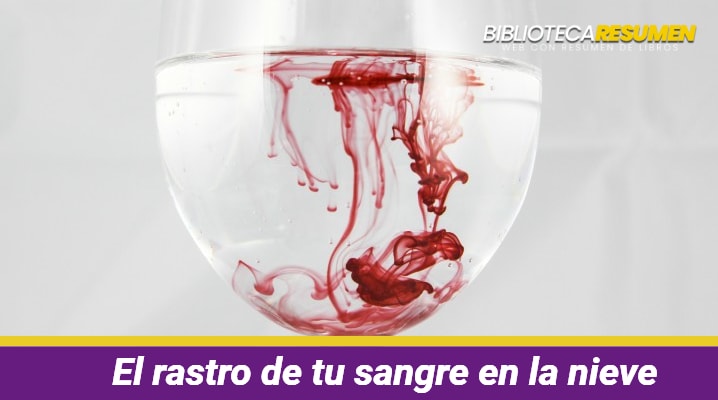 Resumen de El rastro de tu sangre en la nieve