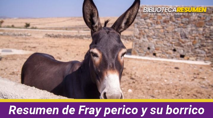 Resumen de Fray perico y su borrico