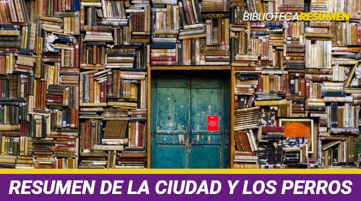 Resumen de La ciudad y los perros