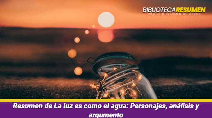 Resumen de La luz es como el agua