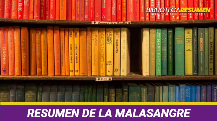 Resumen de La malasangre