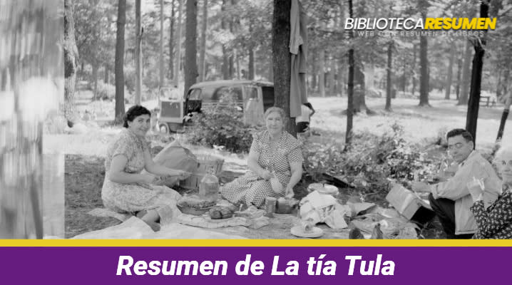 Resumen de La tía Tula