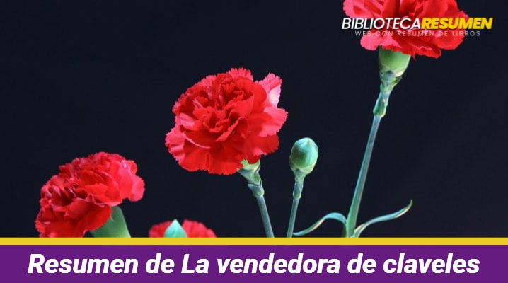 Resumen de La vendedora de claveles