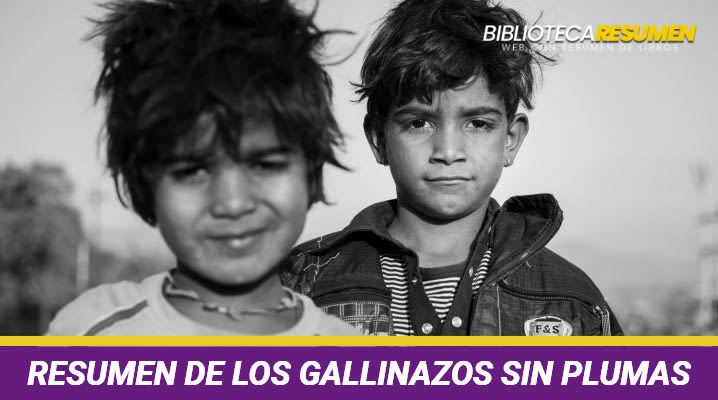 Resumen de Los gallinazos sin plumas