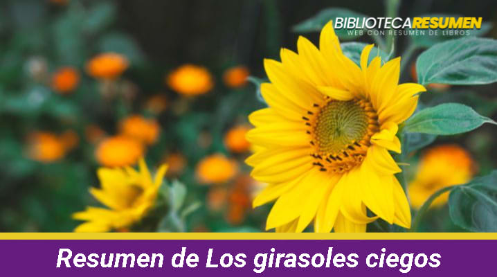 Resumen de Los girasoles ciegos