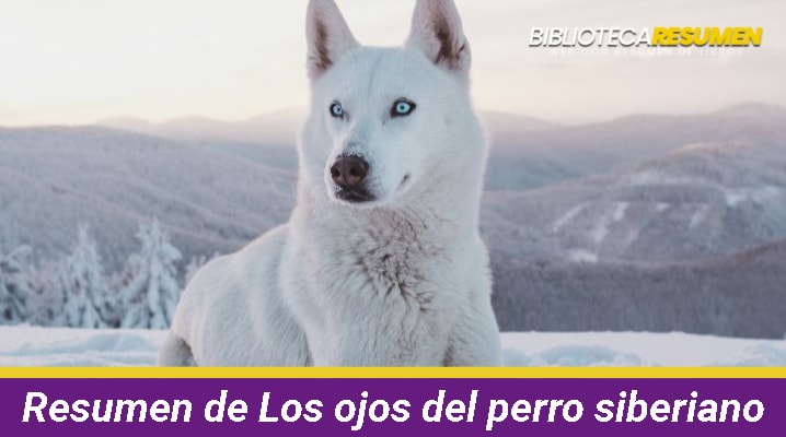 Resumen de Los ojos del perro siberiano