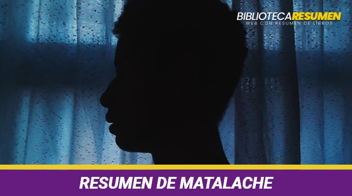 Resumen de Matalaché