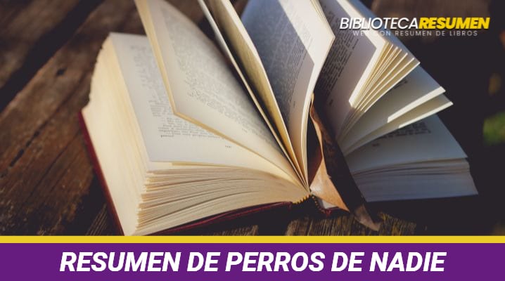 Resumen de Perros de nadie