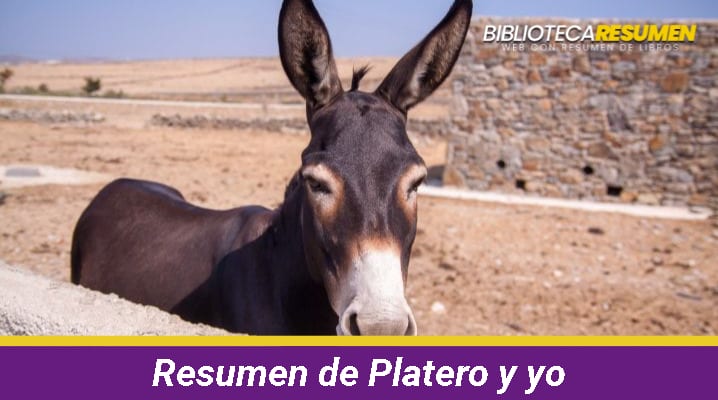 Resumen de Platero y yo