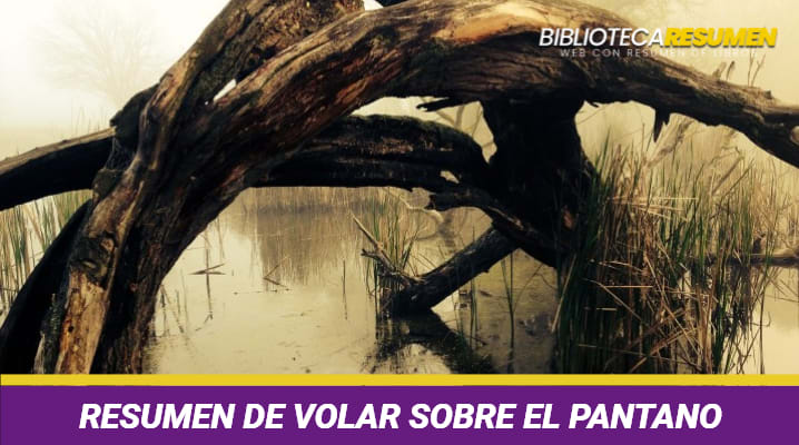 Resumen de volar sobre el pantano