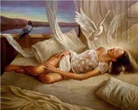 Resumen de Me alquilo para soñar