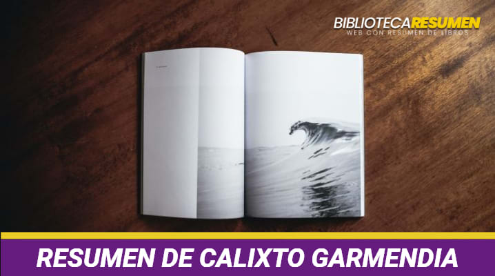 Resumen de Calixto Garmendia