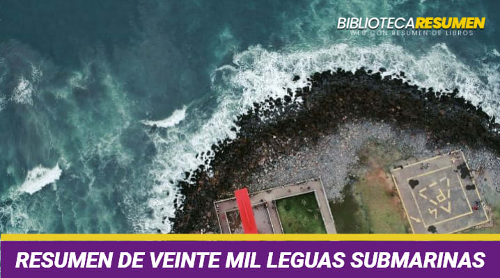 Resumen de Veinte mil leguas de viaje submarino